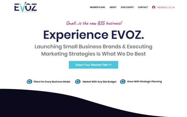 img of B2B Digital Marketing Agency - EVOZ Agency